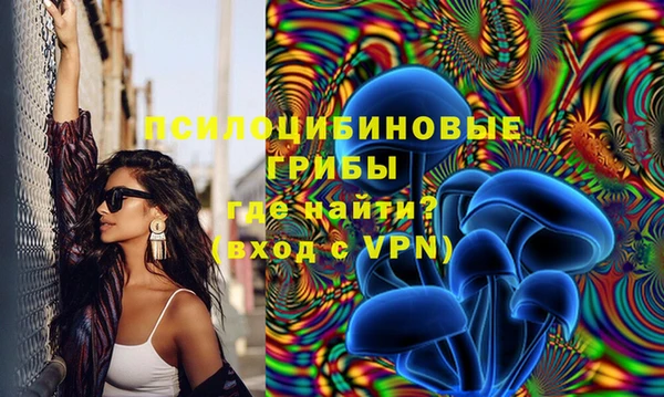 бошки Галич