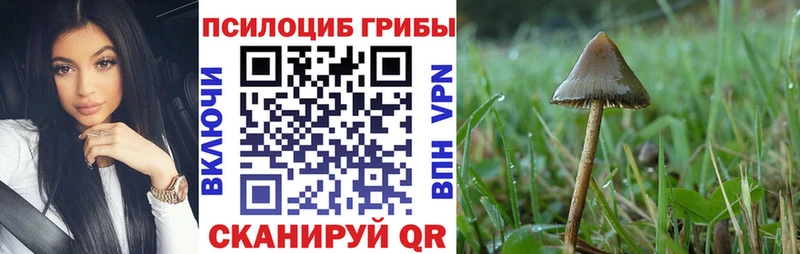 Галлюциногенные грибы GOLDEN TEACHER  Котельнич 